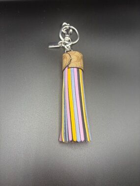 Leather Tassel Keychain with Multicolor Stripes
